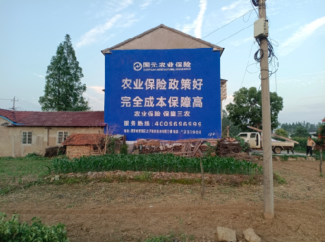 吉安墙体广告的优劣势你知道吗？